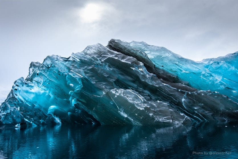 ICEBERG HISTORY グーフィー ディズニー アイスバーグ セーター